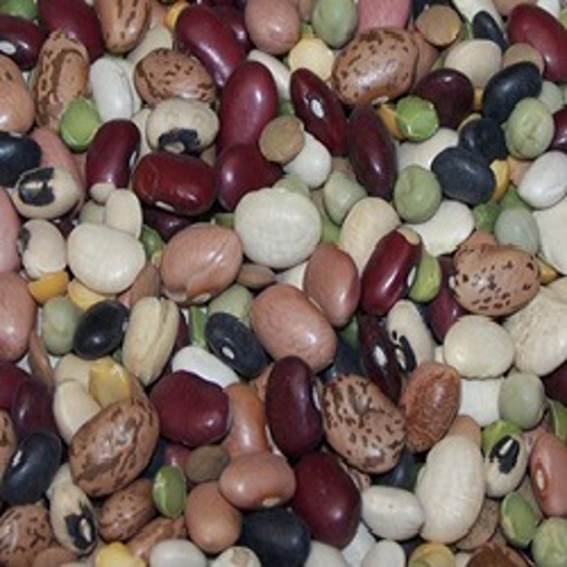 Picture of 13 Bean Fiesta Mix 5# bag